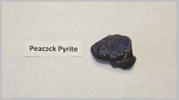 Pyrite (Peacock).jpg